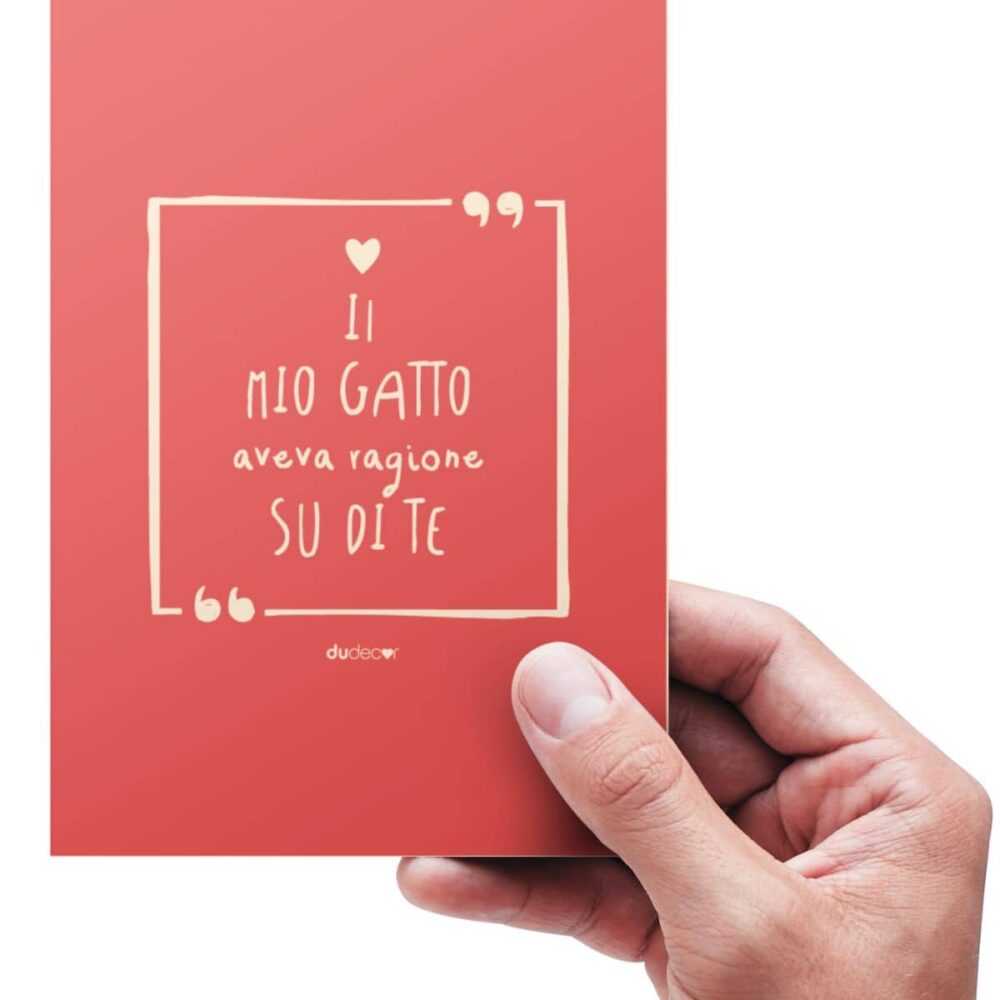 Quaderno Taccuino Gatto Ragione